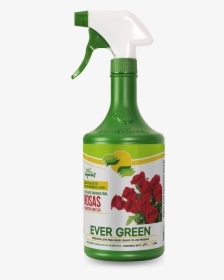 Productos Evergreen Insecticidas, HD Png Download, Free Download