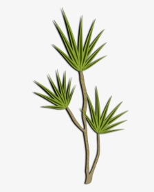 Plant-02 - Transparent Background Tall Plant Clipart, HD Png Download, Free Download