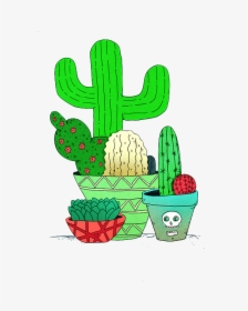 Cactus Y Suculentas Png, Transparent Png, Free Download