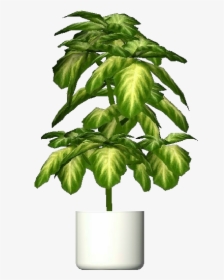 Plantas 3d - Aglaonema Crispum - Acca Software - Png Transparent Interior Plants, Png Download, Free Download
