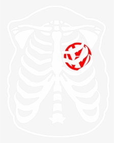 Clip Art Svgs For Geeks - Baby In Womb Skeleton, HD Png Download, Free Download