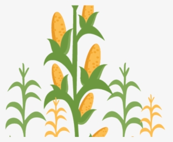Corn Field Borders - Transparent Corn Field Clipart, HD Png Download, Free Download