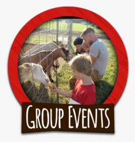 Birthday, Group Tours, & Corporate Events At Corn Fun - Working Animal, HD Png Download, Free Download