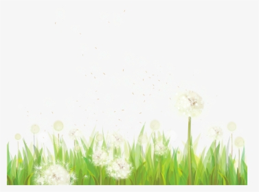 Dandelion Clipart Grass - Grass Transparent Png Footer, Png Download, Free Download