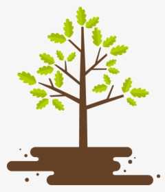 Transparent Arvore Png - Fencing And Landscaping Logo, Png Download, Free Download