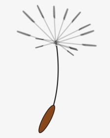 Flying, Seeds, Dandelions, Dispersal, Wind, Plant, - Clip Art Dandelion Seed, HD Png Download, Free Download