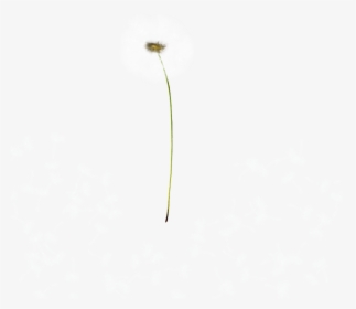 Earrings, HD Png Download, Free Download