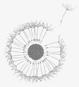 Dandelion - Розовый Велосипед, HD Png Download, Free Download