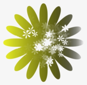Petal,plant,flower - Easy Basic Flower Designs, HD Png Download, Free Download