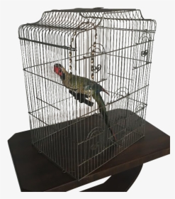 Large Wire Birdcage , Png Download - Cage, Transparent Png, Free Download