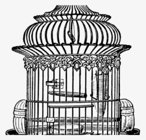 Birdcage Drawing Clipart , Png Download - Bird Cage Line Drawing, Transparent Png, Free Download