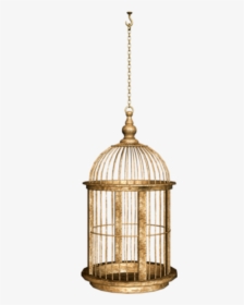 #birdcage #cage - سكرابز اقفاص, HD Png Download, Free Download