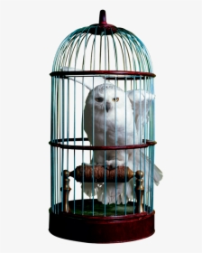 Birdcage Download Png Image - Harry Potter Hedwig In Cage, Transparent Png, Free Download