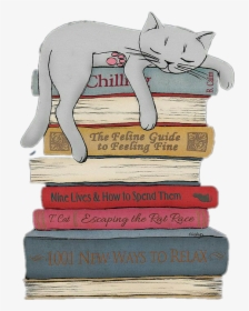 #cat #sleeping #books - Cat Sleeping On Books, HD Png Download, Free Download