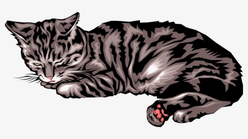 Vector Illustration Of Small Carnivore Domesticated - Vector Art Sleeping Cat, HD Png Download, Free Download