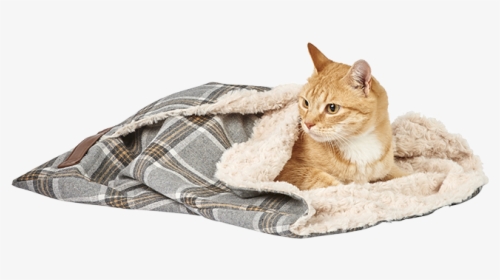 Cat Blanket, HD Png Download, Free Download