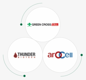 녹십자셀과 Arocell - Circle, HD Png Download, Free Download