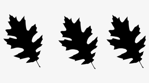 Scalable Vector Graphics, HD Png Download, Free Download