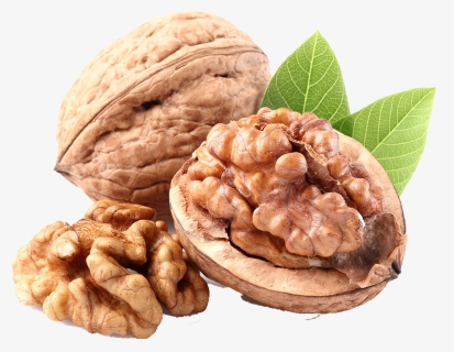 Walnut Almond Food Transprent - Acrod In English, HD Png Download, Free Download