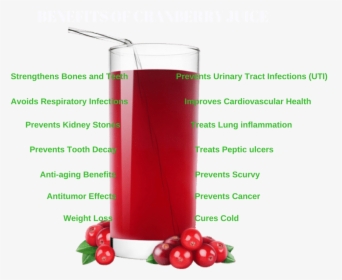 Cranberry Juice, HD Png Download, Free Download