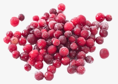 Cranberry, HD Png Download, Free Download