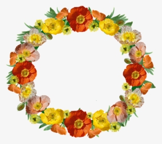 Poppies, Flowers, Wreath, Border, Floral, Frame - 対人 運 アップ 待ち受け, HD Png Download, Free Download