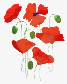 Poppy - Greeting Card, HD Png Download, Free Download
