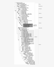 Diagram, HD Png Download, Free Download