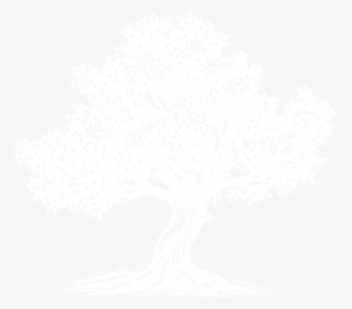 Black And White Olive Tree Png - Srm University Chennai Logo, Transparent Png, Free Download