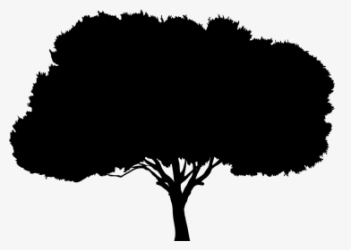 Tree Silhouette, HD Png Download, Free Download
