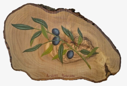 Olive Wood Png, Transparent Png, Free Download