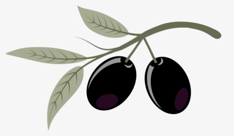 Olives Fruits Plant Free Photo - Zeytin Png, Transparent Png, Free Download