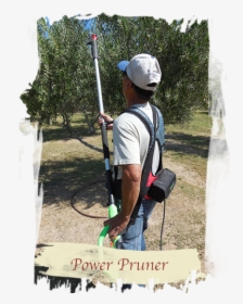 Olive Tree Power Pruner - Abseiling, HD Png Download, Free Download