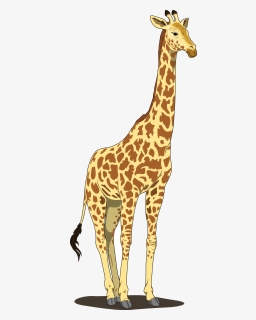Giraffe Clipart, HD Png Download, Free Download