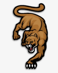 Minnesota Mountain Lions - Cougar Vector, HD Png Download, Free Download