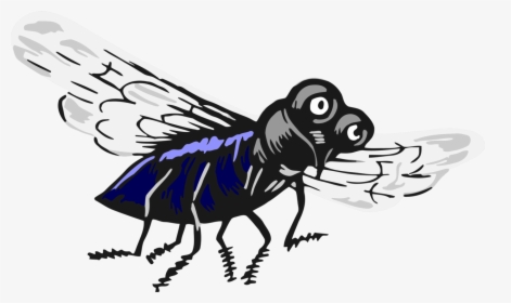 Fly,carpenter Bee,cartoon, HD Png Download, Free Download