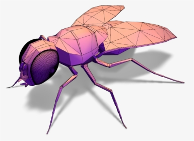 February 1 Clipart , Png Download - Mosquito, Transparent Png, Free Download