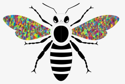 Fly,symmetry,organism, HD Png Download, Free Download