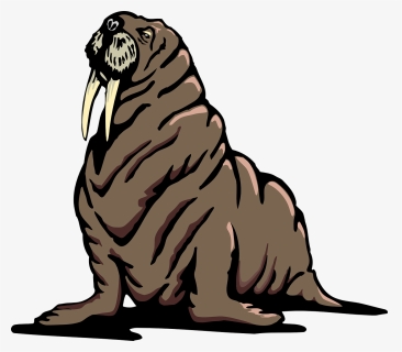 Walrus, Flippers, Wrinkles, Animal, Skin, Wrinkled - Walrus Clipart Transparent Background, HD Png Download, Free Download