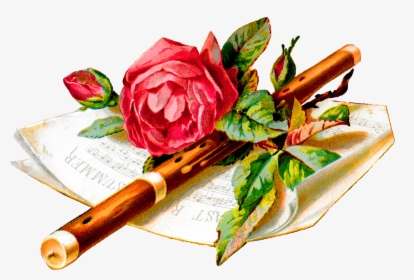 Flower Rose Music Flute Botanical Art Digital Image - Garden Roses, HD Png Download, Free Download