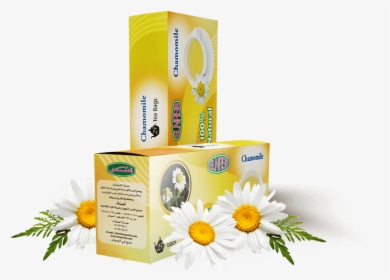 Chamomile Tea Bags - Chamomile, HD Png Download, Free Download