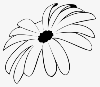 Spider Mum Rubber Stamp - Chamomile, HD Png Download, Free Download