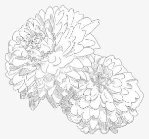 Sunflower, HD Png Download, Free Download