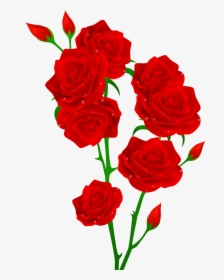 Flowers Red And Green, HD Png Download, Free Download