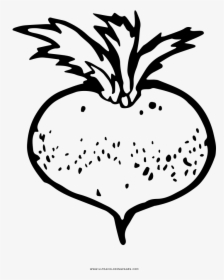 Turnip Coloring Page - Line Art, HD Png Download, Free Download