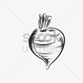 Drawing Vegetable Hand, HD Png Download, Free Download