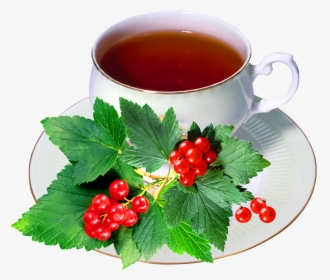 Harbal Tea With Cup - Redcurrant, HD Png Download, Free Download