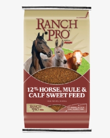 Mule Feed, HD Png Download, Free Download