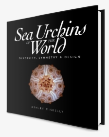 Sea Urchins Of The World Book - Poster, HD Png Download, Free Download