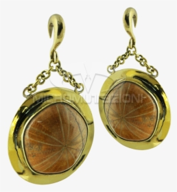 Fossil Sea Urchin In Brass Pendant Earrings Ear - Earrings, HD Png Download, Free Download